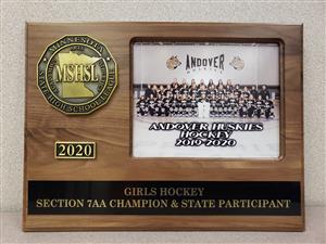 Girls Hockey Section 7AA Champion & State Participant 